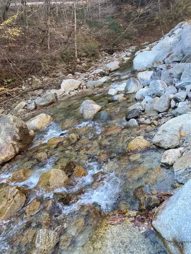 冷た過ぎる川