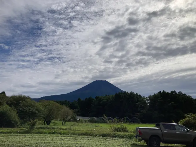 富士山がきれいに見えました