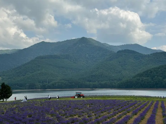 湖畔からの風景
