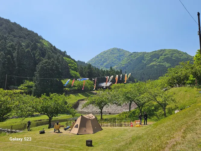 フリーサイトから山に向かって