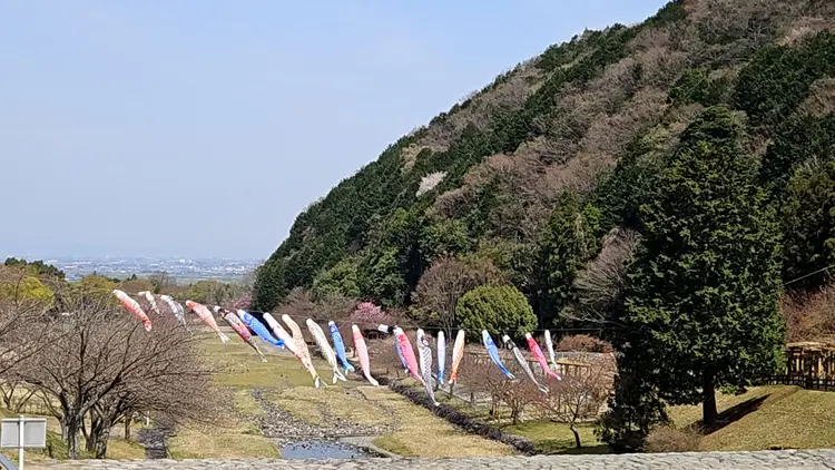 オートサイトからの眺め