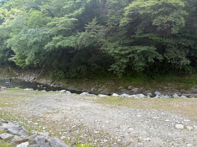 川の近くのサイト