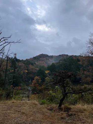 キャンプ場からの景色