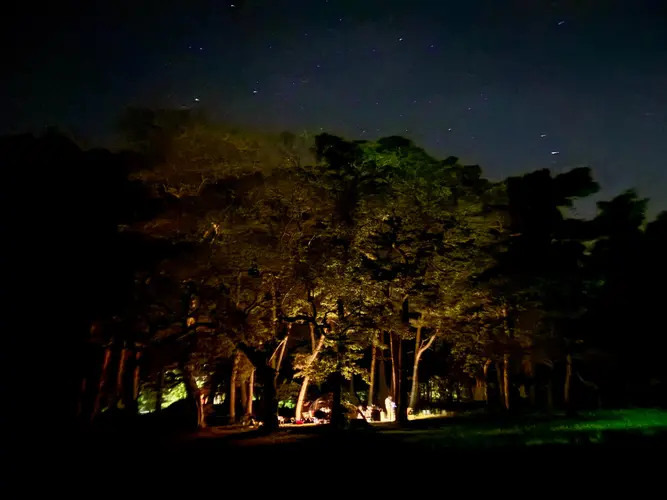 泊まらないとわからない星の数々