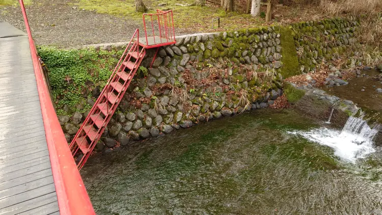 川に降りる階段